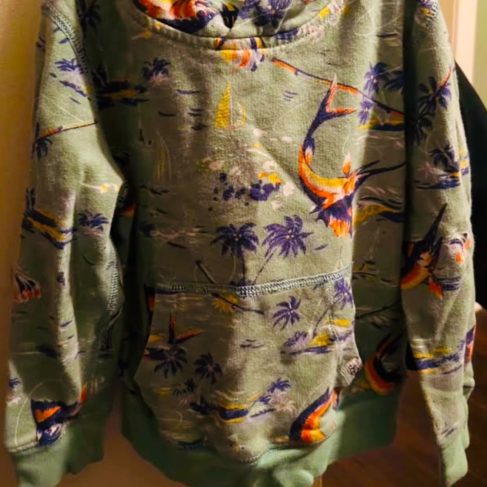 Polo Ralph Lauren swordfish pullover